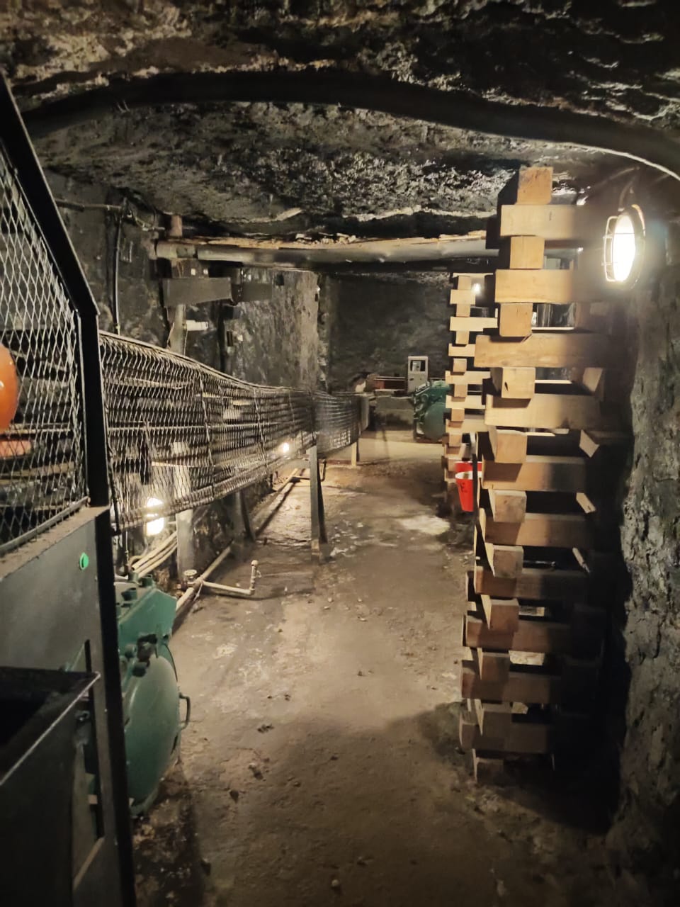 Exploring Science Beyond the Classroom